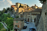 montone