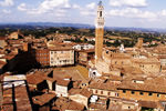 siena