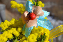 festa della donna in umbria