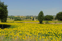 primo maggio in umbria