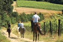 Maneggio umbria