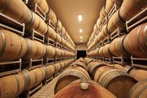 wine tour