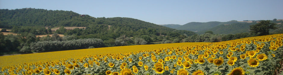 Agriturismo Umbria