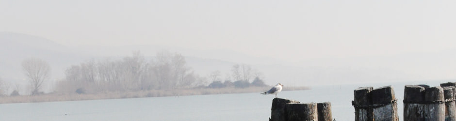 Agriturismo Umbria