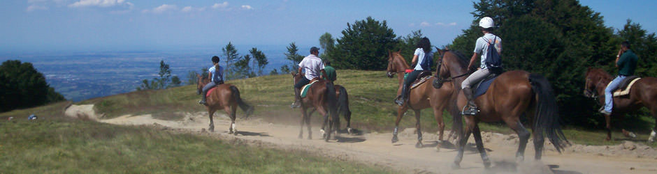 Agriturismo Umbria