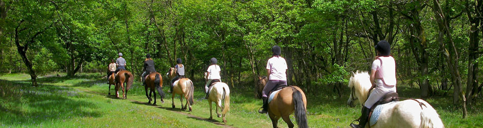 Agriturismo Umbria